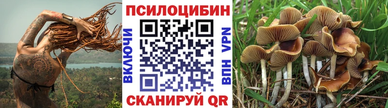 Псилоцибиновые грибы Psilocybine cubensis  Семёнов 
